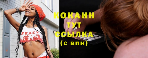 apvp Михайлов