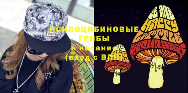 apvp Михайлов