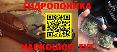 стаф Заводоуковск