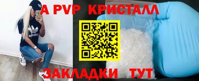 хмурый Тула