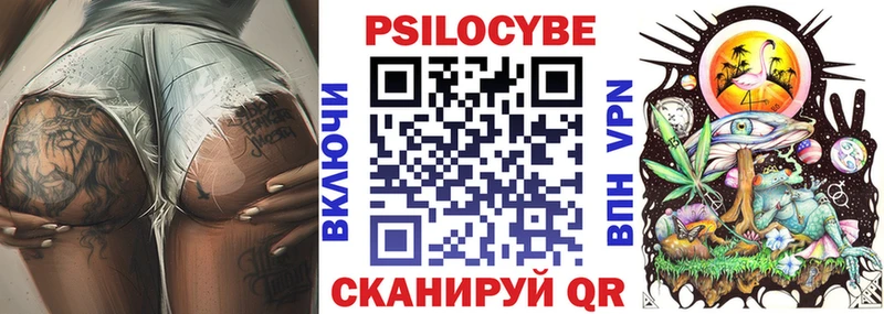 Галлюциногенные грибы Psilocybe  Нальчик 