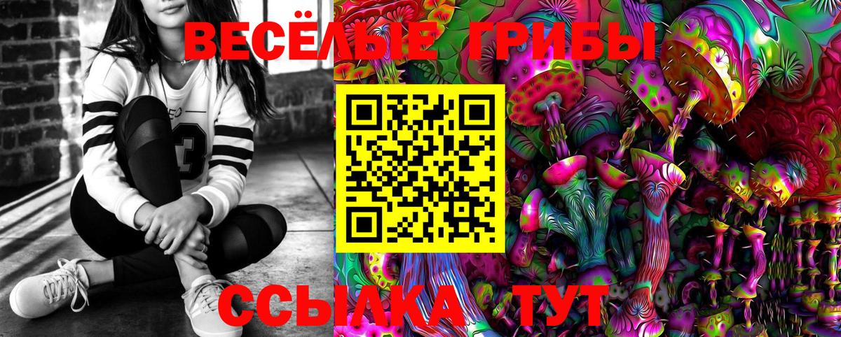 Галлюциногенные грибы MAGIC MUSHROOMS  Вход с VPN  Нальчик 