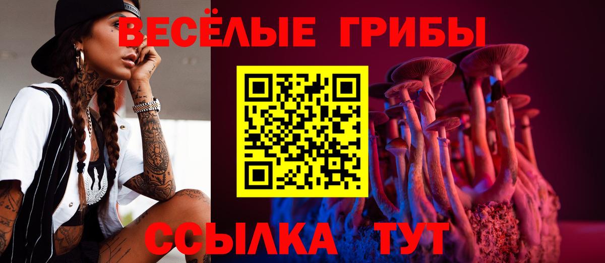Псилоцибиновые грибы Psilocybine cubensis Нальчик